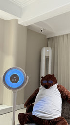 Corduroy Bear Plush Toys - Brown Bear and White Polar Bear Stuffed Animals